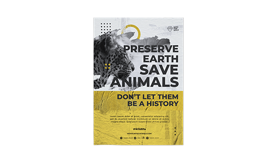 custom printing services for Posters