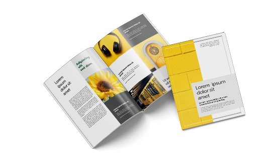 custom printing services for Offset Economy Booklets